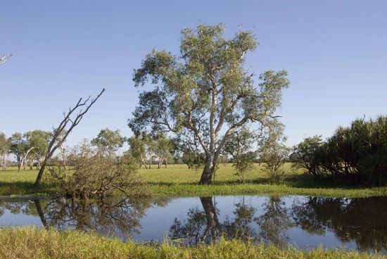 Beim Yellow Water. Auch dort machten wir eine kostenlose geführte Tour mit Rangern. Diese Ranger Walks oder Ranger Talks gibt es in Nationalparks, wegen den Terminen kann man sich bei den Touristeninfos erkundigen.