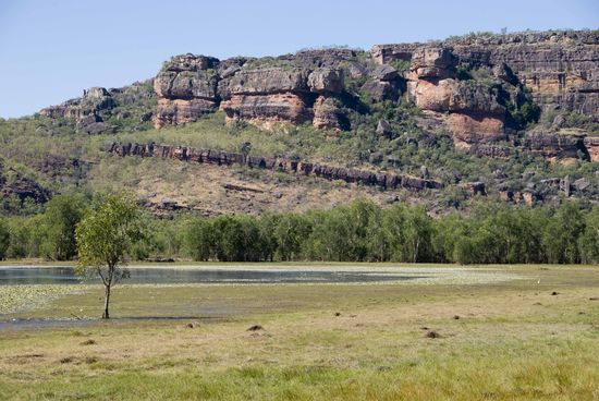 Solche kleinen Wasserlöcher heißen Billabong. Während der Regenzeit werden sie zigfach so groß.