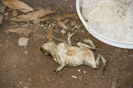 Oh, tschuldigung, wollten nicht stören.