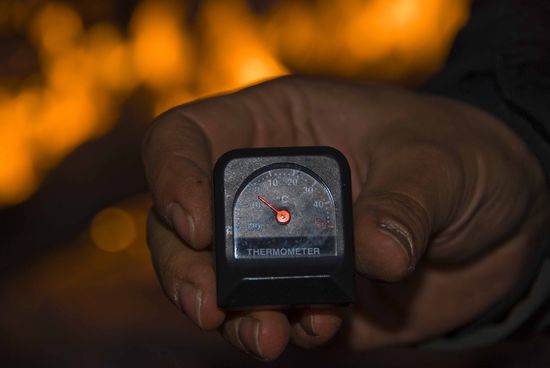 Bis zu minus 5° Celsius hatten wir, denn nur die Harten kommen in den Garten!!!