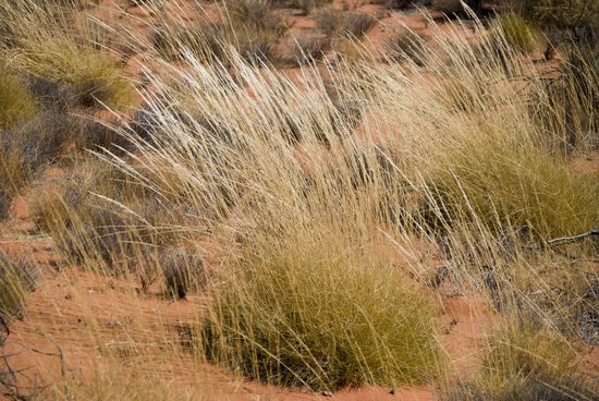 Bilder vom „Valley oft the Winds Walk“.