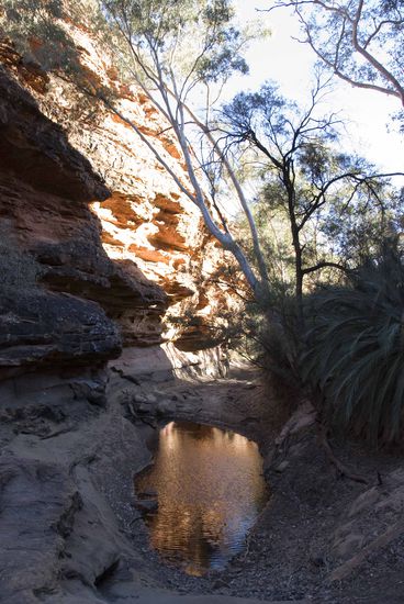 Im Garten Eden, hier gibt es immer Wasser.
