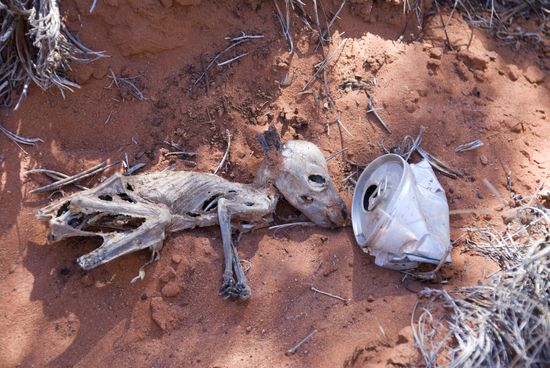 Don’t drink and hop!