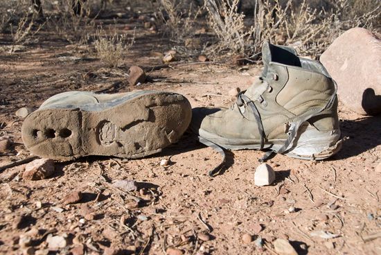 Erkenntnis des Tages: wer nicht regelmäßig zur Inspektion geht, wird die nächste TÜV-Plakette nicht sehen.