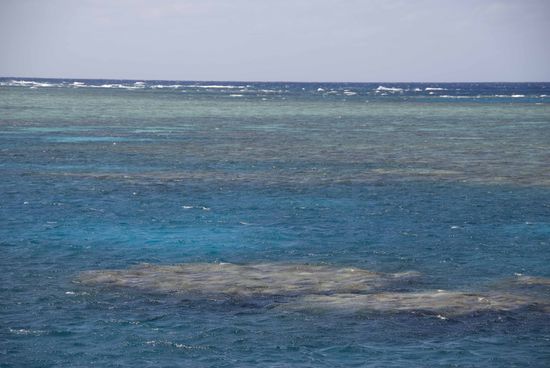 Great Barrier Reef. Wir hatten uns eine Unterwassereinwegkamera gekauft, wenn die Bilder entwickelt und gut geworden sind stellen wir noch ein paar davon in dieses Kapitel.