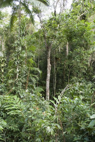 Alleine auf diesen paar Quadratmetern gibt es 150 Pflanzenarten.