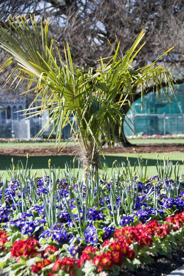 Frühlingsanfang in Christchurch.