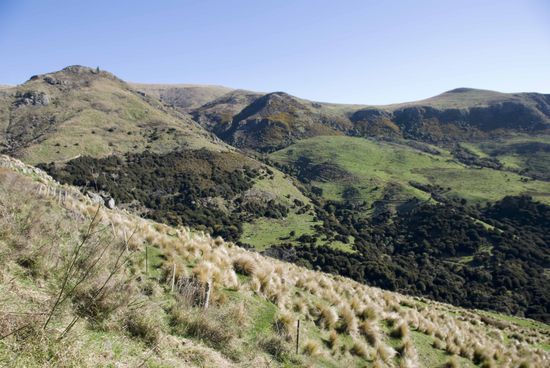 Vulkane formten viele Hügel …