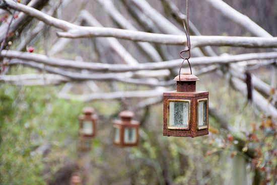 Bilder von der Tree Crop Farm.