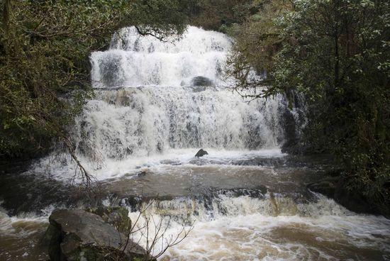 Purakaunui Falls.