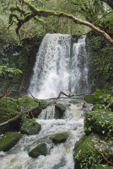 Matai Falls.