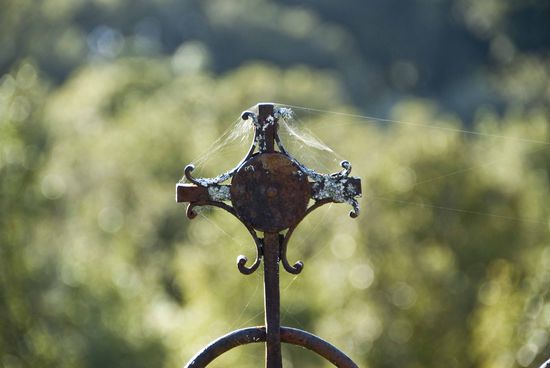 Alter Friedhof in Ross.
