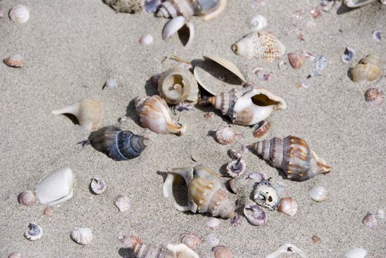 An der Bay of Plenty, hat den Namen echt verdient.