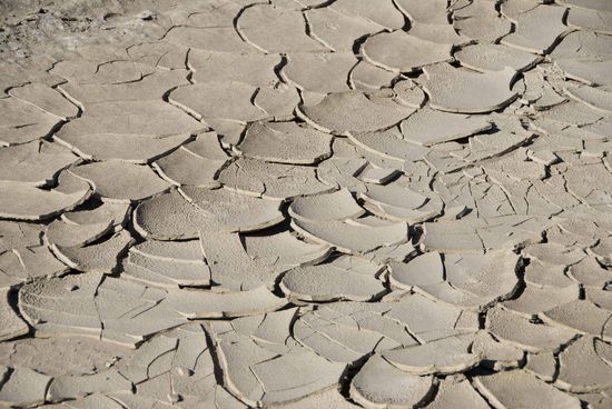Durstige Erde.