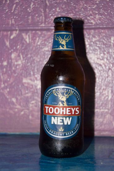 Australien: Toohey Beer aus Australien, lag kostenlos in unserem Backpacker-Kühlschrank, 0,375 Liter-Flasche, 4,6% alc./vol., Note 2,5