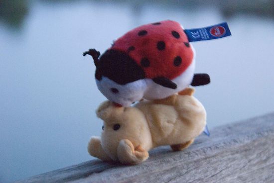 …auch den Maskottchen gefällt es hier.