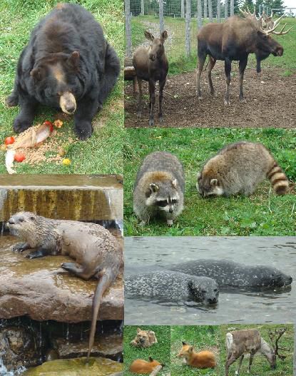 Bioparc in Bonaventure
