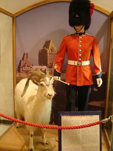 Das Maskottchen des Regiments der Citadelle