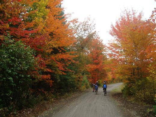 Velofahrt durch die farbigen Wälder