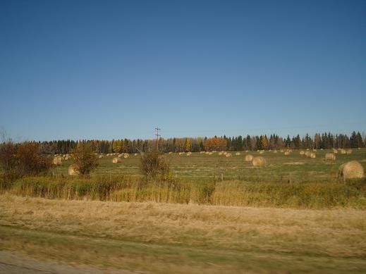 Raus aus dem Flachland!
Rocky Mountains wir kommen!