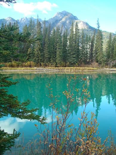 „Bow-River“ – herbstlich schön
