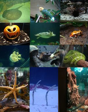 Faszinierende Tierwelt!