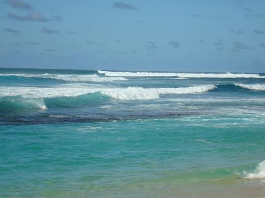 „North Shore Bay“