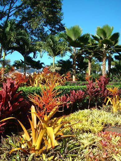 Herrliches Farbenspiel auf Hawaii