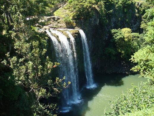 „Whangarei Waterfalls“