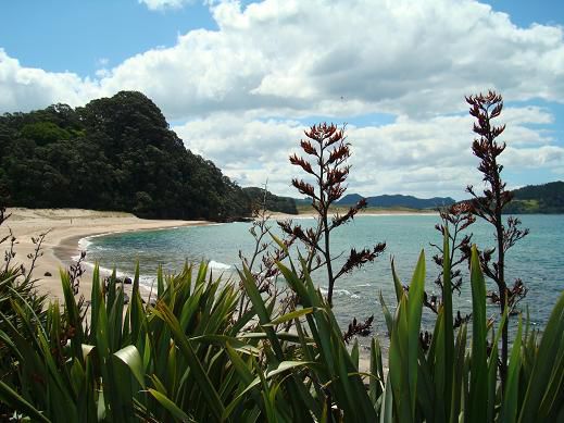 „Hot Water Beach“