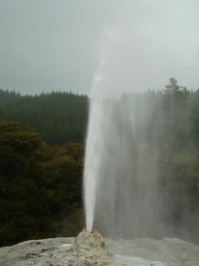 „Lady Knox Geyser“