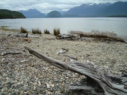 „Shallow Bay“ beim „Lake Manapouri“