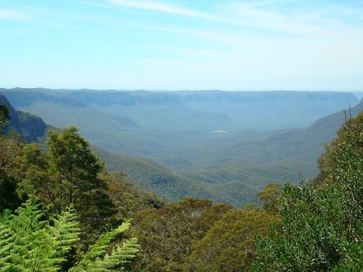 „The blue mountains“