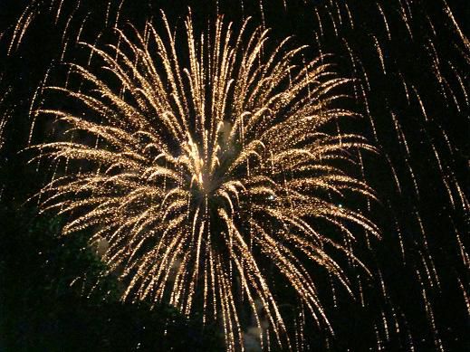 Wir wünschen euch alles Gute fürs Jahr 2009!