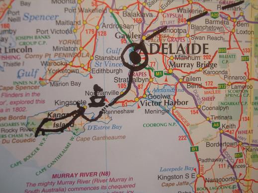 Mit dem Flieger von Sydney nach Adelaide
Mit dem Campervan nach Kangaroo Island und Melbourne