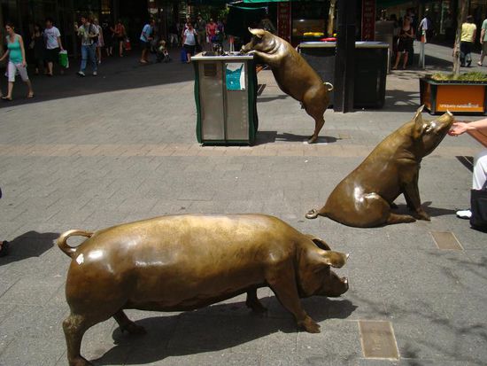 So bleibt die Stadt sauber! 