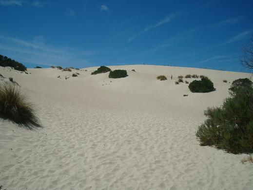 Kleine Sahara wir kommen