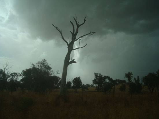 …aber tolle Stimmungen gab es trotzdem!