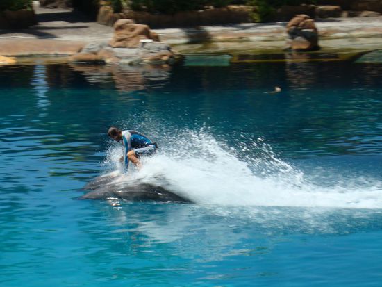 Das hätten wir gerne auch ausprobiert.