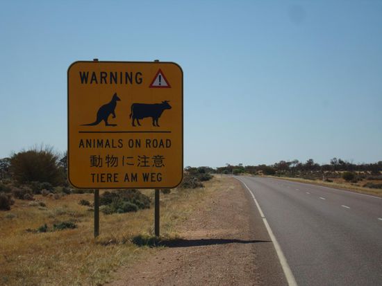 Sind da etwa die toten Tiere gemeint?