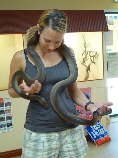 Der Schlange und Maria gefällt es sichtlich