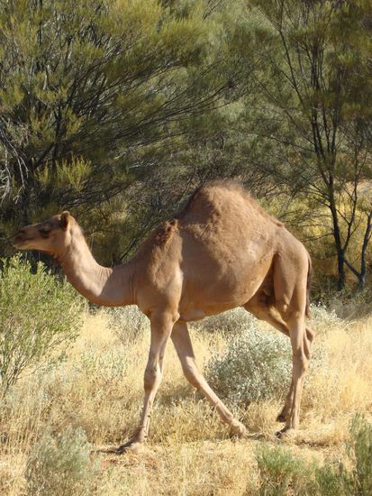 Das haben wir hier gar nicht erwartet!