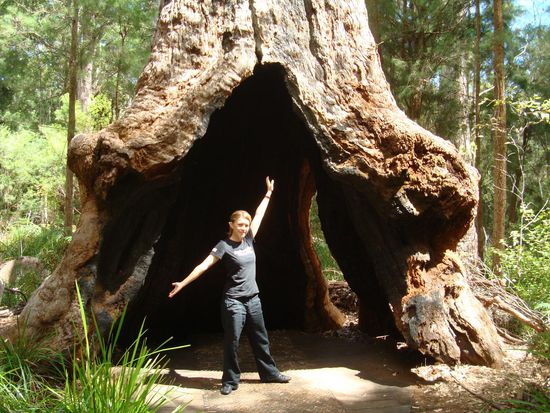 Ca. 400 Jahre alt, nein nicht Madita der Baum! 