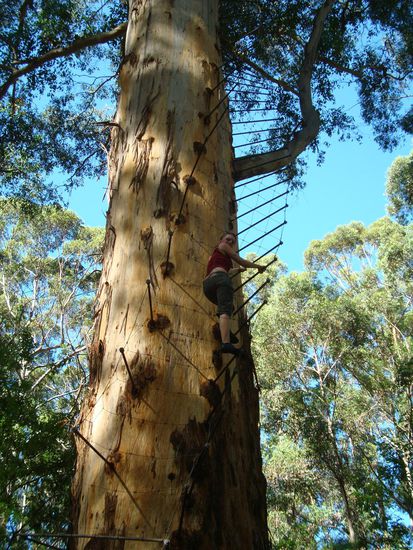 Und das war nur der Anfang der Leiter!