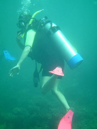 Madita, gut erkennbar durch ihre Flossen 