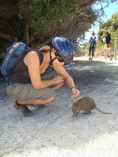 Zutraulich dieser kleine Kerl.