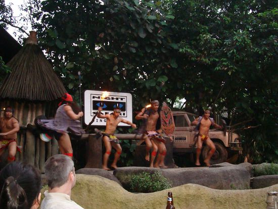Feurige Tanzshow eröffnet den Besuch in der „Night Safari“