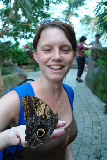 Im Butterfly Observatorium