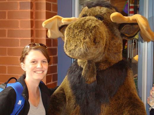 Moose- Aufgabe sogar doppelt erfüllt
