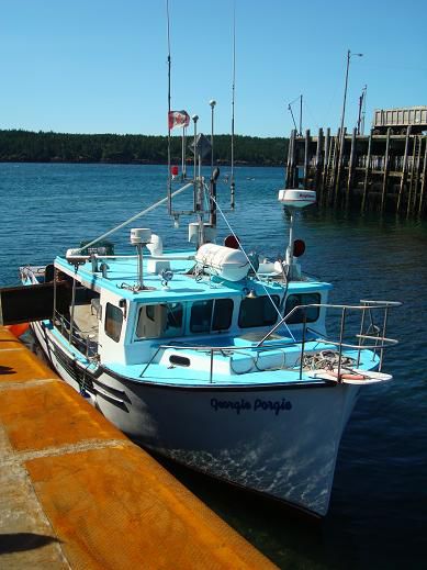 Unser Schiff für das „Whalewatching“